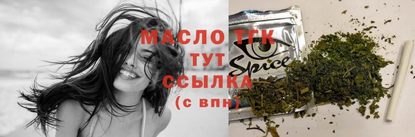 стафф Снежногорск