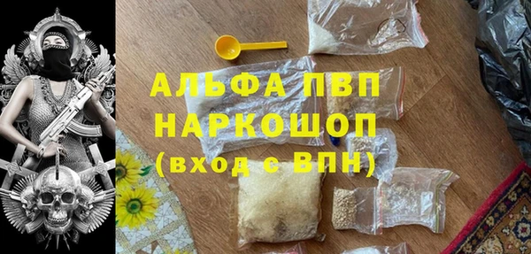 стафф Снежногорск
