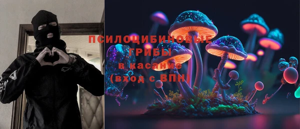шишки Слюдянка