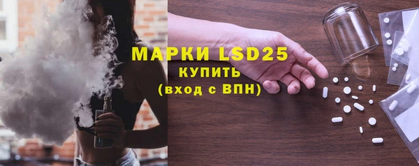 шишки Слюдянка