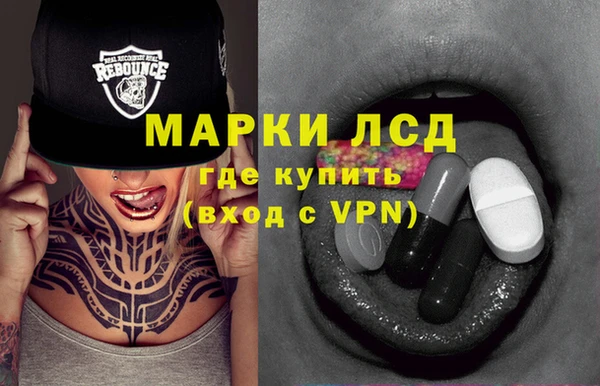 стафф Снежногорск