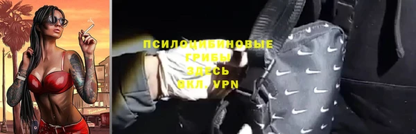 шишки Слюдянка