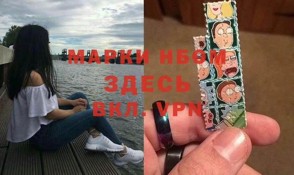 шишки Слюдянка