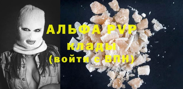 шишки Слюдянка