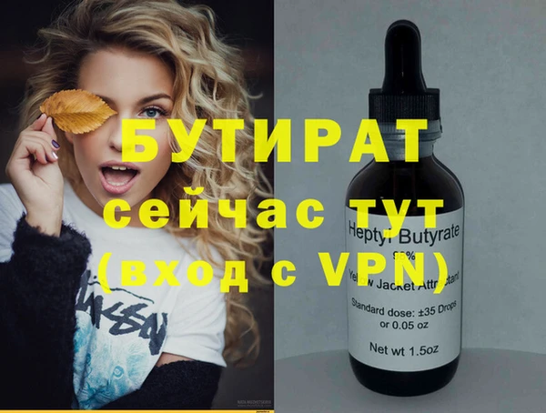 шишки Слюдянка