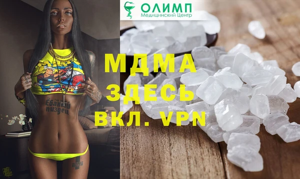 шишки Слюдянка