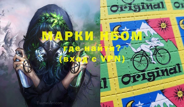 шишки Слюдянка