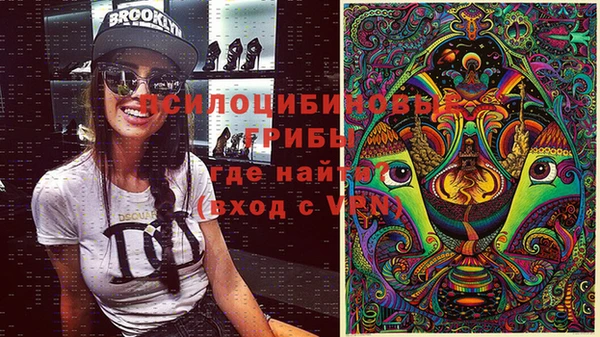твердый Снежинск