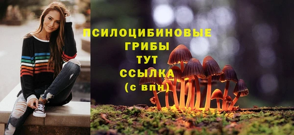 стафф Снежногорск