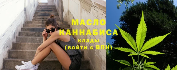 твердый Снежинск