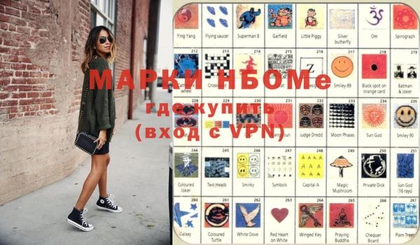 шишки Слюдянка
