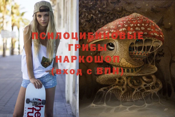 стафф Снежногорск