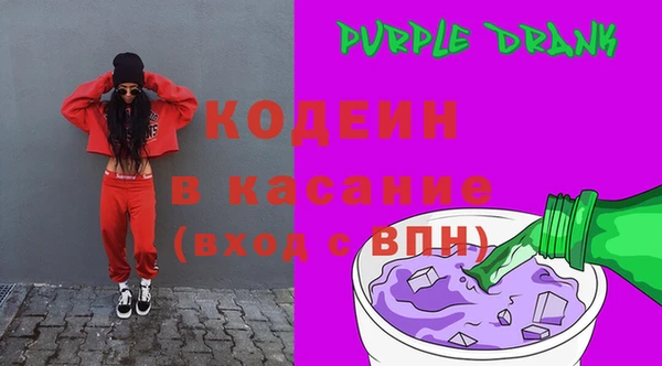 шишки Слюдянка