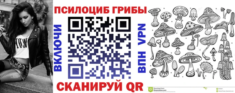 Купить где  Ивангород  Псилоцибиновые грибы MAGIC MUSHROOMS 